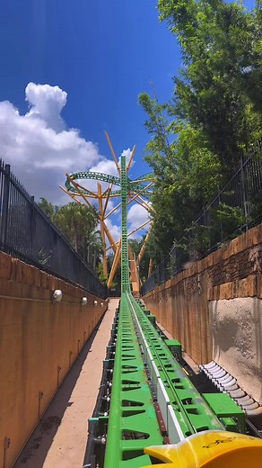 roller coasters>>> partying 🎢🐆 #buschgardens #buschgardenstampabay #rollercoastertiktok #fastride #cheetah
