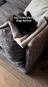 An exhausting life, that's for sure. | Gary Barlow