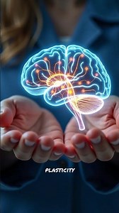 Why the adult brain can still change #neuroscience #brainplasticity #lifelonglearning