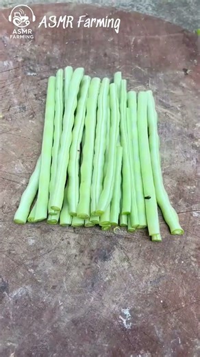 ASMR Harvesting Yardlong Beans | Satisfying Cutting Sounds | ASMR Farming #asmr #asmragriculture