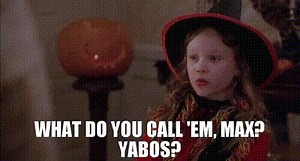 What do you call 'em, Max? Yabos?