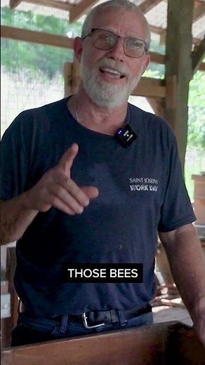 Life Lessons from the Bees w/ Mr. Ed