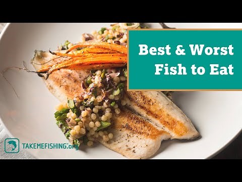 Best and Worst Fish to Eat