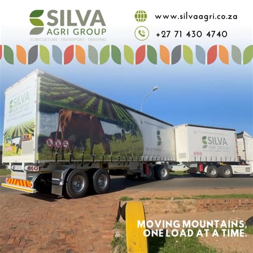Efficient logistics in action! Silva Agri Group is moving mountains, one load at a time. Trust us to handle your transport needs with precision and care. #SilvaAgriGroup #Agriculture #Logistics #Transport #ReliableTransport #trendingpage #LogisticsExperts #FreightSolutions | Silva Agri Group