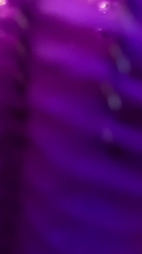 Help repair the reef and grow coralline algae in your aquarium! #reeftank #reeftok #algae #reef #corallinealgae #coralreef #fishtank #fishtanks