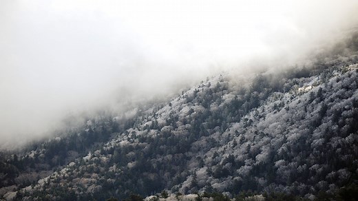 [7000 ] Winter Wallpapers