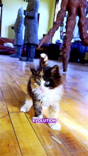 Universe Evolves Like Life? Darwin's Theory Explained! #shorts