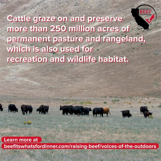 Cattle graze on and preserve more than 250 million acres of permanent pasture and rangeland, which is also used for recreation and wildlife habitat. There are numerous benefits of having cattle naturally preserve this land, including protecting wildlife habitats and precious ecosystems, mitigating wildfire and sequestering carbon.1-6 Learn more at https://www.beefitswhatsfordinner.com/raising-beef/voices-of-the-outdoors 1. Teague et al. 2016. The role of ruminants in reducing agriculture’s carbo