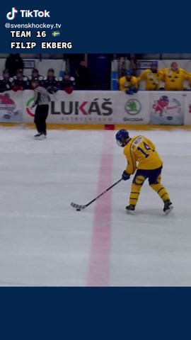 Filip Ekberg och Team 16 i Svensk Hockey