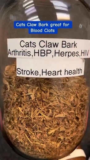 Meelah_Moss_Seamoss | 📝 How to Consume Cat’s Claw: 1️⃣ Drink as herbal tea, tonic, or tincture, twice a day (AM & afternoon) 2️⃣ Steep tea, boil water, add 1/2... | Instagram