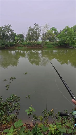 5.2M views · 31K reactions | Con cá khổng lồ và nồi nước mẻ ngày chủ nhật #Caodaitong #xh | Cao Đài Tổng | Facebook