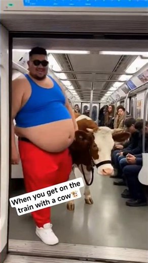 When you get on the train with a cow🐮 #funny #humor #viral
