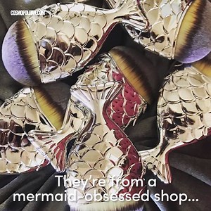 308K views · 508 reactions | You guys have to see how CUTE these...