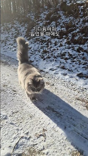 봄(이성부)