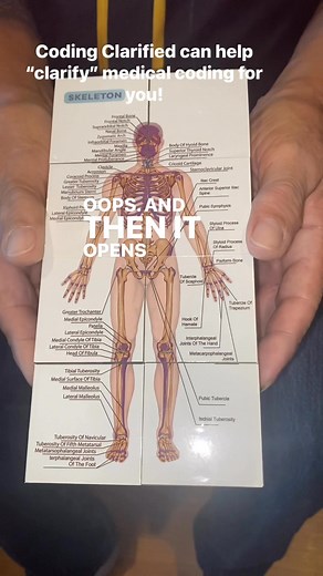 Anatomy at your fingertips! #codingclarified #cpc #medicalcoding #aapceducationpartner #anatomy | Coding Clarified