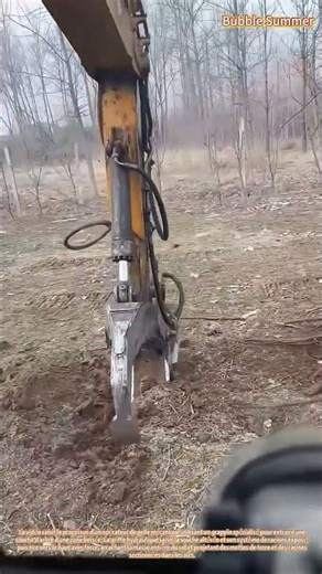 Extraction de Souche : Pelle Mécanique Arrachant une Souche d'Arbre du Sol Forestier