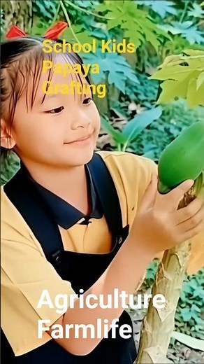 School Kids Papaya Grafting: A Lesson in Biology & Hope