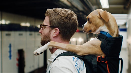 Watch the trailer for this year's Clear The Shelters TV special