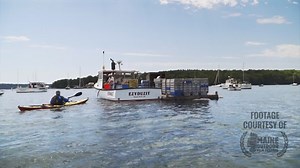 Coming to a living room near you: ten short films that’ll get you out of your living room