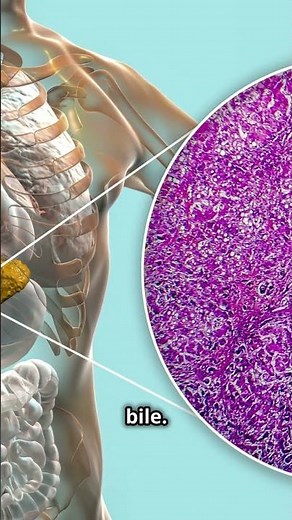 What are Hepatocytes? | Liver's Powerhouse Cells #science