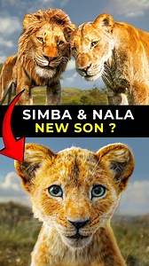 Simba & Nala After The Lion King #mufasa #thelionking #lionking #moviedetails #moviereviews #Mufasa #TheLionKing #Disney #LionKing #DisneyAnimation #AnimatedMovie #ClassicDisney #MufasaQuotes #IconicCharacters #WaltDisney | Movies Vibes | Facebook