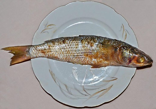 Fesikh: The Egyptian Deadly Smelly Fish Delicacy | Travel Food Atlas