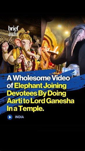 The Brief India on Instagram: "Elephant Performs Aarti to Lord Ganesha, Internet Calls It a Divine Moment. In a wholesome viral video winning hearts across social media, an elephant is seen calmly approaching a Lord Ganesha temple and joining devotees by offering aarti, creating a rare and heartwarming spiritual moment. The gentle giant’s graceful participation in the ritual left devotees emotional and pleasantly surprised, while viewers online praised the beautiful display of devotion and harmo