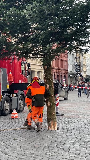 129K views · 1.8K reactions |  Er ist da!  Heute ist der grosse Weihnachtsbaum auf dem Basler Marktplatz angekommen!  Unter den neugierigen Blicken vieler Passantinnen und Passanten wurde er aufgestellt.  In den nächsten Tagen wird geschmückt, beleuchtet und vorbereitet – damit er pünktlich zur Adventszeit in voller Pracht strahlen kann. | Radio Basilisk | Facebook