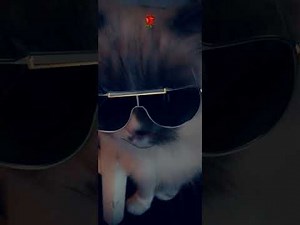 Washing machine heart (slowed + reverb) Mitski