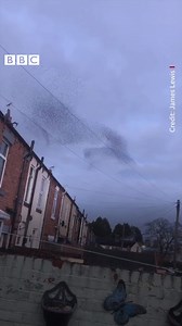 49K views · 1.4K reactions | This amazing starling murmuration was spotted over Ripon earlier this week. Incredible  | BBC Yorkshire | Facebook