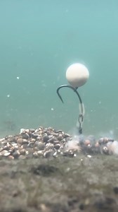 228K views · 2.7K reactions | HEAVENLY HEMP BAGS AND SPINNERS ...