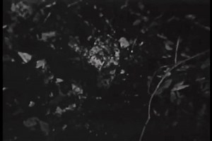 19 Sinking Quicksand Stock Video Footage - 4K and HD Video Clips | Shutterstock