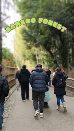 Arashiyama Bamboo Forest Kyoto Japan | Amazing Nature Walk Near Osaka