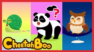 Cheetahboo - Animal Poo Songs - Season - Colorful diverse poo songs compilation