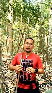1.3K reactions · 52 shares | Binatang liar yang jarang2 atau mungkin tidak pernah nampak manusia yang berada di dalam hutan belantara. Part 2. | Pendekar Rimba | Facebook