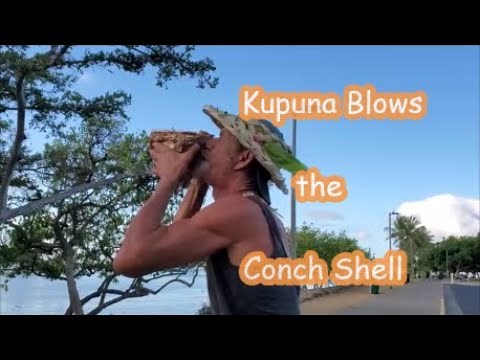 Kupuna Blows the Conch Shell