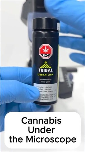 Cannabis Under the Microscope 🔬 | ScopeLabe USA