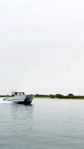 1.9K views · 292 reactions | Unleash the power of the SilverCAT 40CC!...