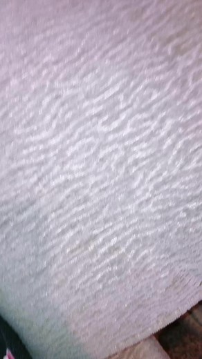 •~amazon~• on TikTok