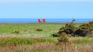 Newfoundland & Labrador: Gros Morne & the Northern Peninsula | Road Scholar