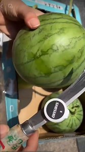 934K views · 1.4K reactions |  Dive into quick farming hacks with our bite-sized tips #farming #farm #plants #grafting | Kito.Uno | Facebook