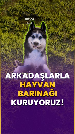 Onay Kılıç on Instagram: "Takip etmeyi unutma! Oyunun İsmi: Animal Shelter 2 Platform: Steam Fiyat: $10,99 USD Bilgi: Tek Oyunculu / Çevrimiçi Eşli, 1–6 oyuncu Türkçe Dil Desteği: Arayüz ve Altyazı Sistem Gereksinimleri Minimum: 64-bit işlemci ve işletim sistemi gerektirir İşletim Sistemi: Windows 10 64 Bit İşlemci: Intel Core i3-4130 / AMD Ryzen 3 1200 Bellek: 8 GB RAM Ekran Kartı: NVIDIA GeForce GTX 960 / Radeon R9 280X DirectX: Sürüm 11 Depolama: 18 GB kullanılabilir alan Herhangi bir marka i