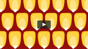 How It's Made- FQT's MSC Process