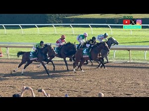 Superstar vs. Rising Star: Thorpedo Anna, Nitrogen Face Off in 2025 Spinster Stakes