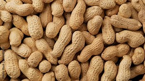 Roasted pile of peanuts in shell rotating. Top view. Organic and vegan, vegetarian food. Healthy nutrition concept. Close-up in 4K, UHD