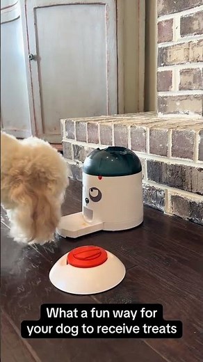 Ultimate Dog Treat Puzzle Toy Test! See Our Pups Solve It #Toy #Puzzle #Dog #Dogs