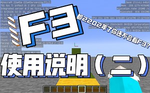 我的世界【F3】使用说明（二）