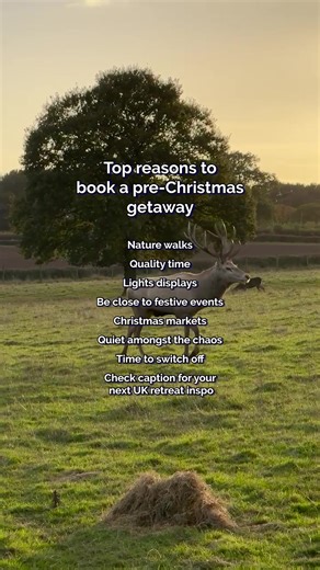 Heard from a friend that December breaks hit different here 🎄🤗 It’s giving charming Christmas markets, crisp nature walks, and pure peace, all within reach of your cosy retreat. This is your sign to start your Christmas countdown with us and book today! 🎅 #ChristmasUK #UKChristmasMarkets #UKFestiveBreak #FestiveGetaway