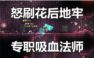 【Terraria1.3】【专家】怒刷花后地牢，转职吸血法师【29】