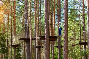 Top 21 places for a tree top adventure - Netmums